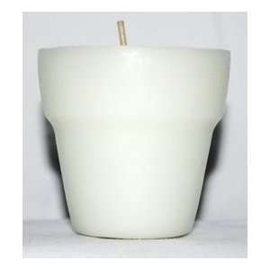  Cucumber Melon 3.5 oz. Votive