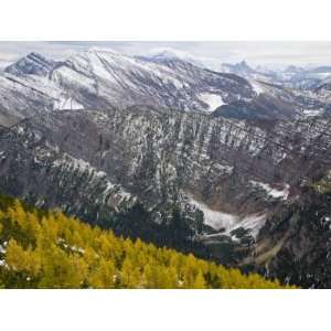  Mountain larch trees and mountains at the summit of Tamarack 