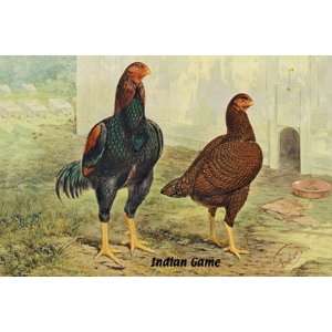  Indian Game (Chickens) by Unknown 18x12 Toys & Games