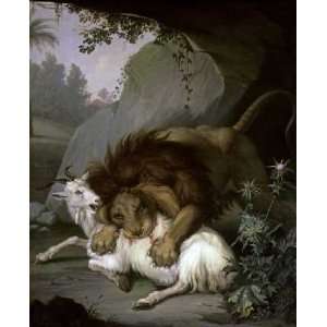  A Lion Attacking a Goat by Wenzel Peter. Size 13.13 X 16 